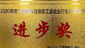 公司榮獲2020年度自治區(qū)工業(yè)企業(yè)對(duì)標(biāo)工作“進(jìn)步獎(jiǎng)”